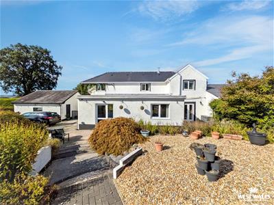 Picture 17